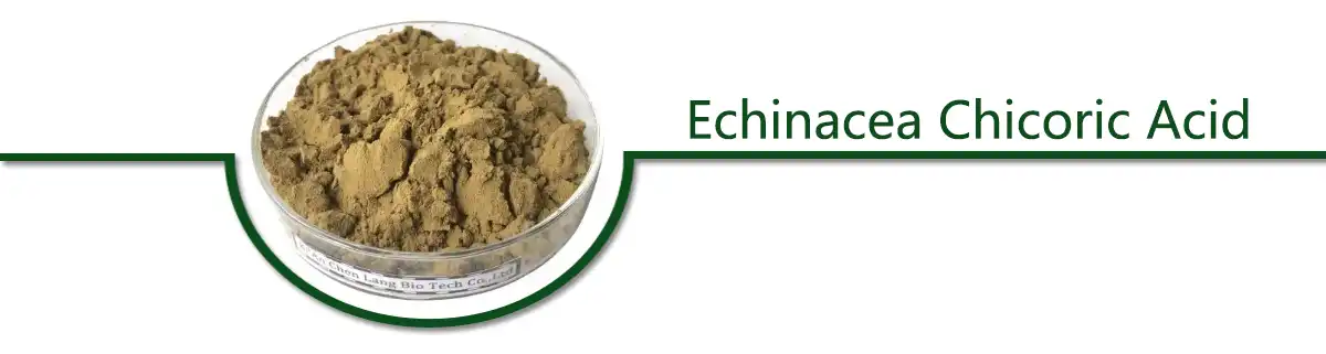 Echinacea Chicoric Acid Powder.jpg